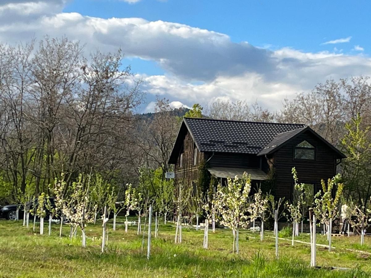 POLOVRAGA - CASA LA TARA CU CIUBAR ПОЛОВРАДЖИ (Румыния) - от 5499 RUB |  NOCHI